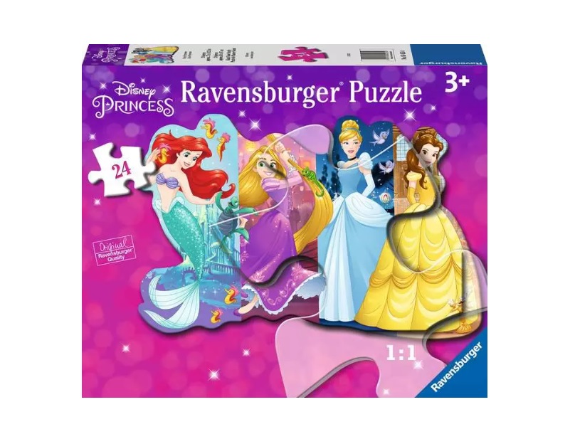 Casse-tête 24 plancher Jolies princesses