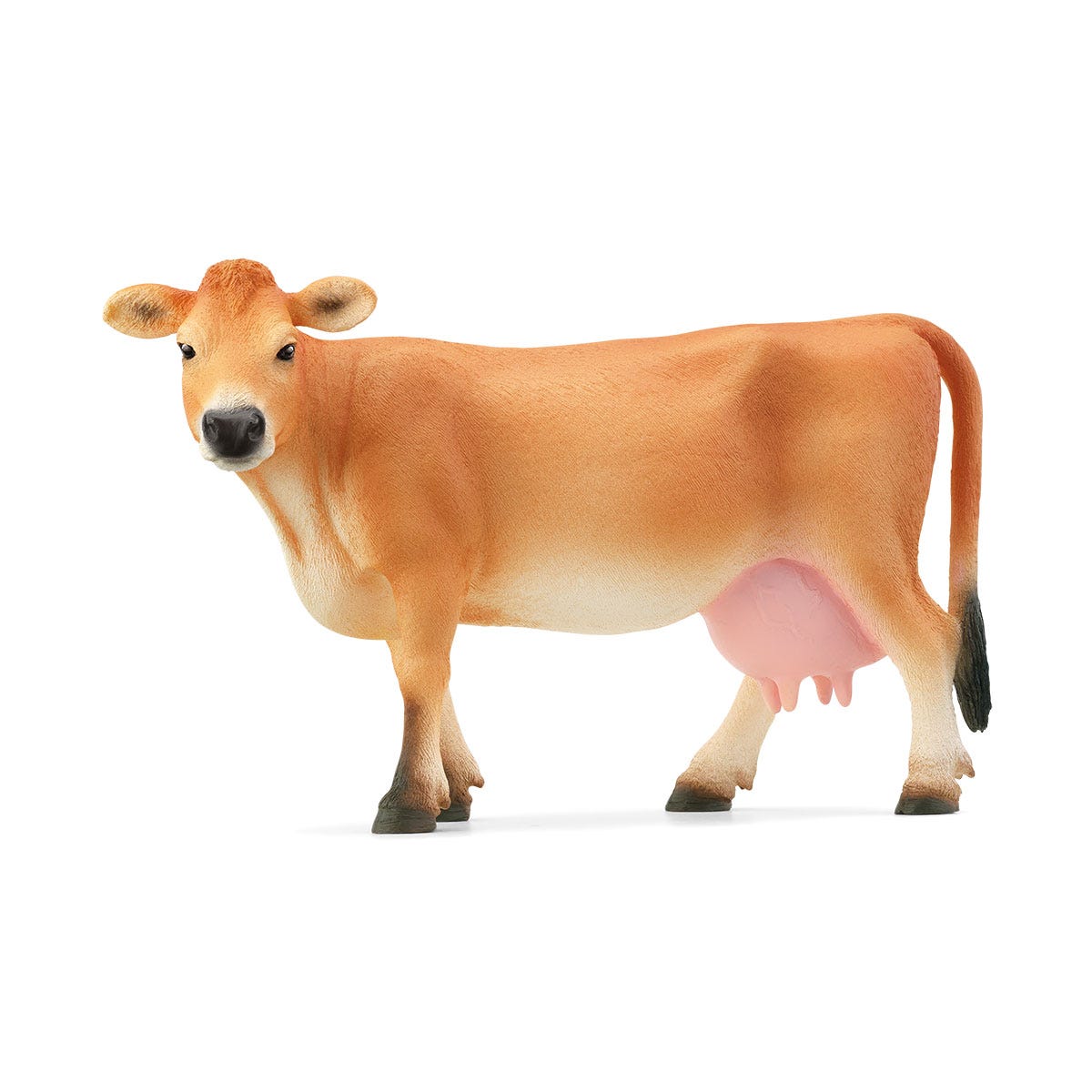 Vache Jersiaise