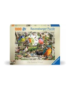 Casse-t&ecirc;te 1000 Nos amis &agrave; plume