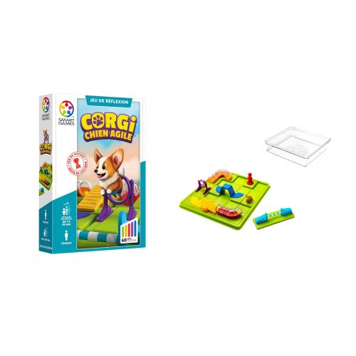 Corgi, Chien Agile
