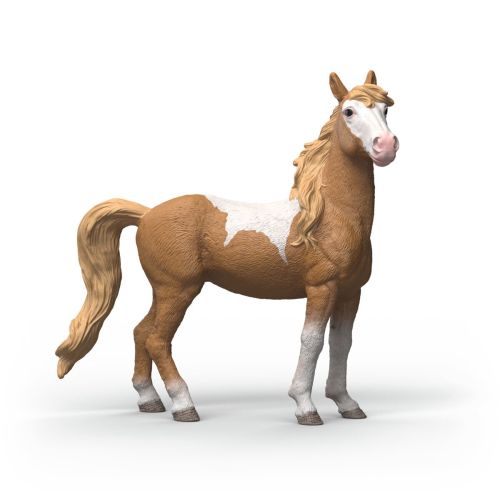Jument mustang