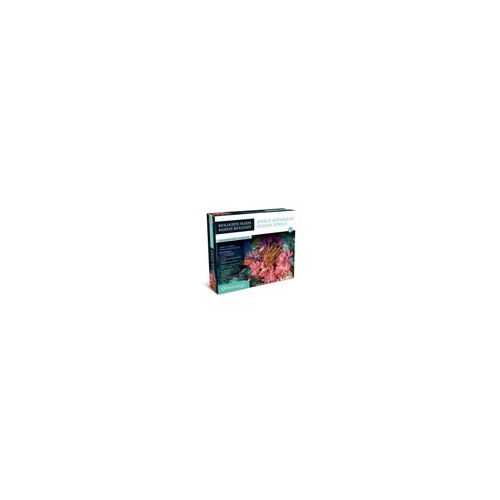 Biologiste marin - Joyaux océaniques