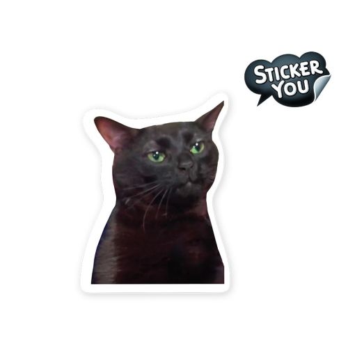 Sticker You Chat noir "zoned out"