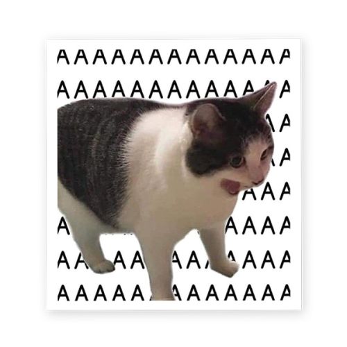 StickerYou, AAA Cat