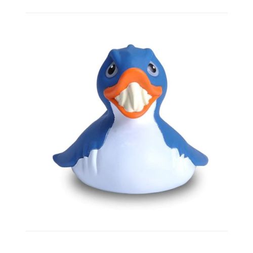 CANARD REQUIN