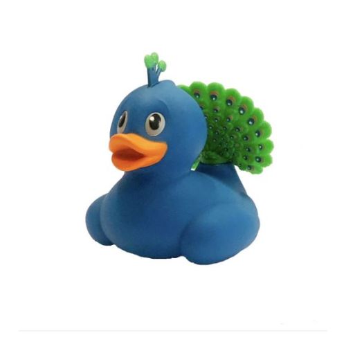 CANARD PAON