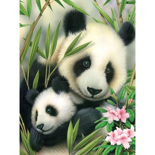 Peinture à numéro Panda et bébé