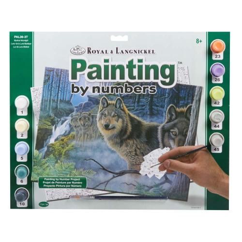 Large PBN Mystical Moonlight
