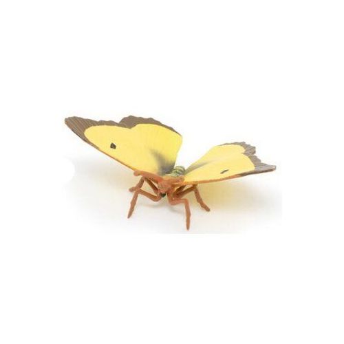 Papo Papillon souci