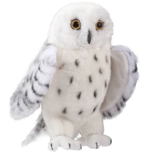 Hibou des neiges