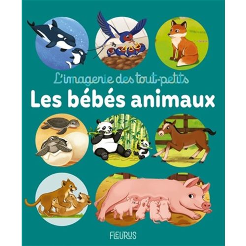 Les Bébés animaux: l'imagerie des tout-petits