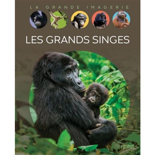 Les Grands singes