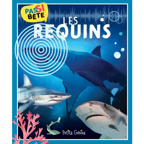 Pas si bête Les requins
