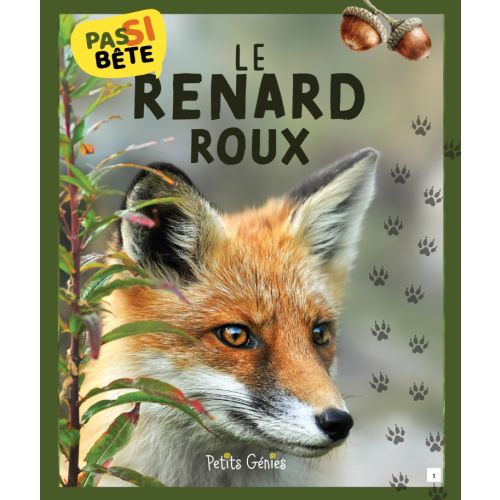 Pas si bête Le renard roux