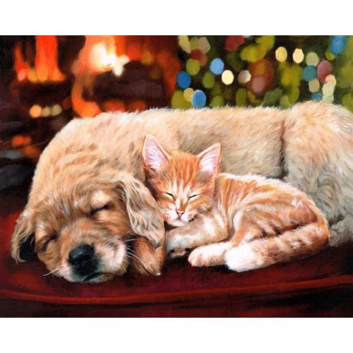 PN sieste entre amis