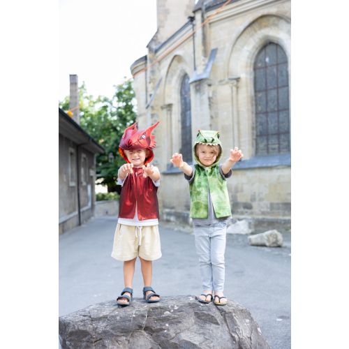Veste dinosaures 5-6 ans