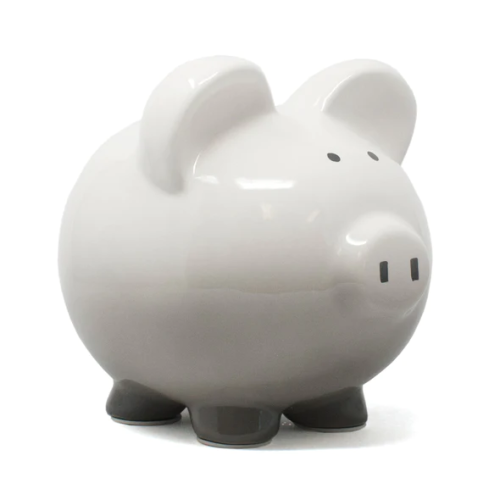 BANQUE COCHON GRIS
