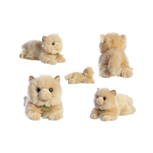 Miyoni Chat Persan