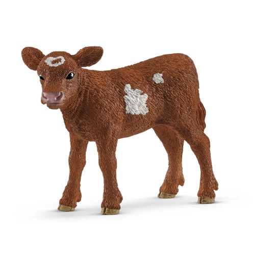 Veau Texas Longhorn