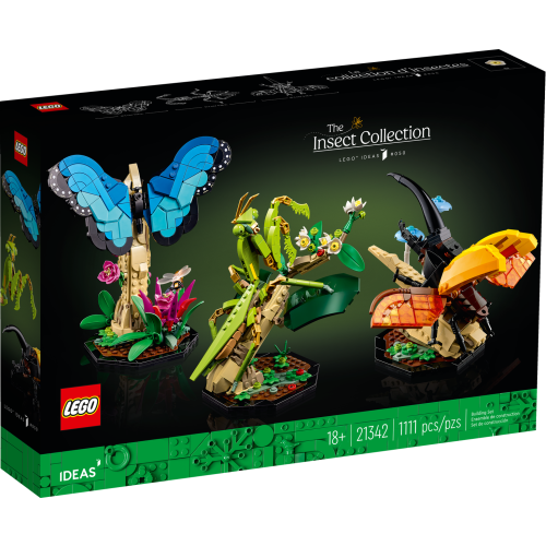 La collection d’insectes