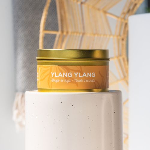 Chandelle ylang ylang