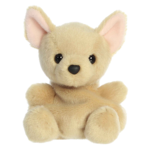 Palm pals - Cookie le Chihuahua