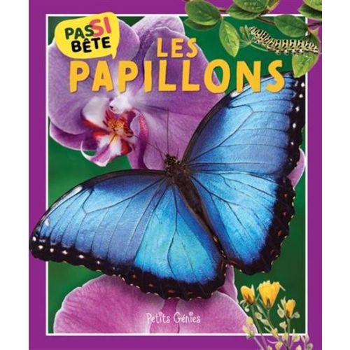 Pas si bête: Les papillons
