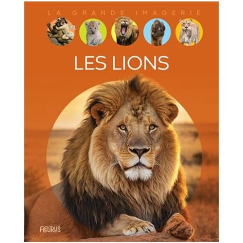 Les Lions: La grande imagerie
