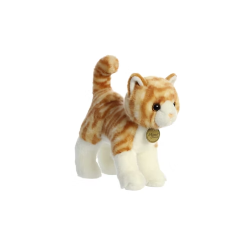 Miyoni Tabby le chat orange