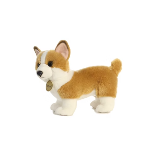 Miyoni Corgi