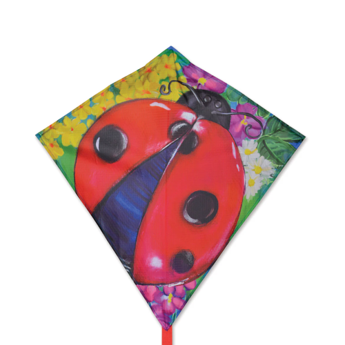 Cerf-volant coccinelle 25