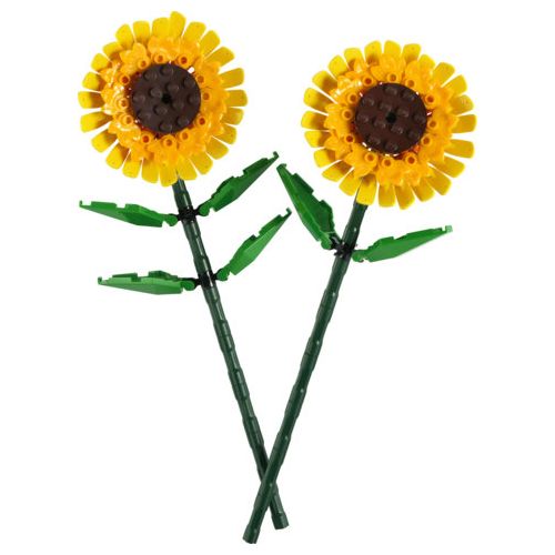 Les tournesols