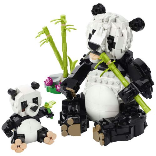 Les animaux sauvages : la famille de pandas