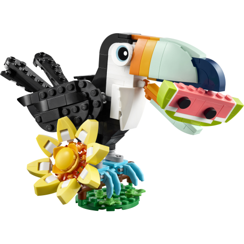 Les animaux sauvages : le toucan tropical