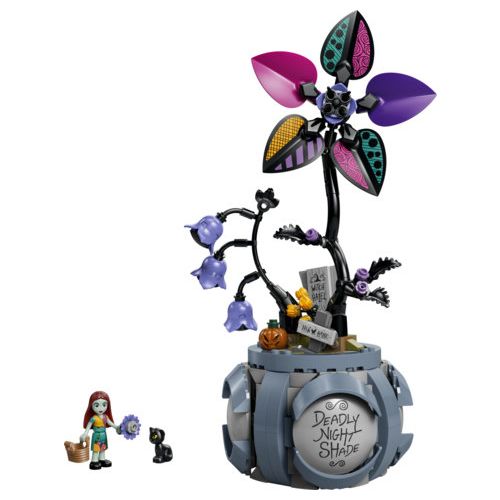 Le pot de fleurs de Sally