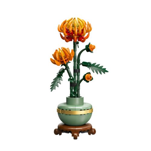 Le chrysanthème