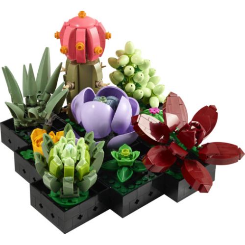 Les succulentes