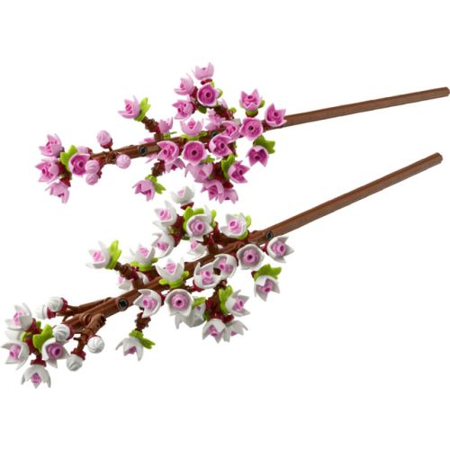 Les fleurs de cerisier