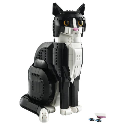 Le chat tuxedo