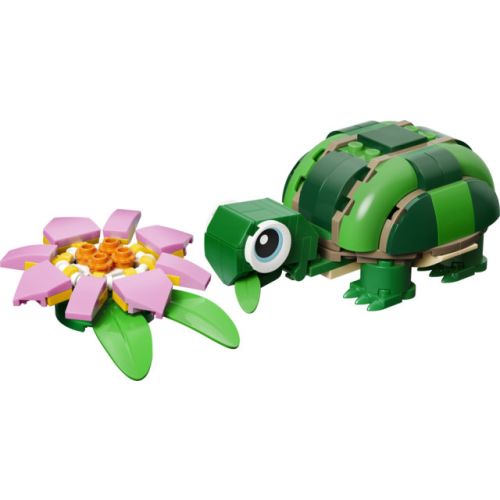 La tortue avec un nénuphar