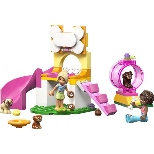 L’aire de jeux des chiots