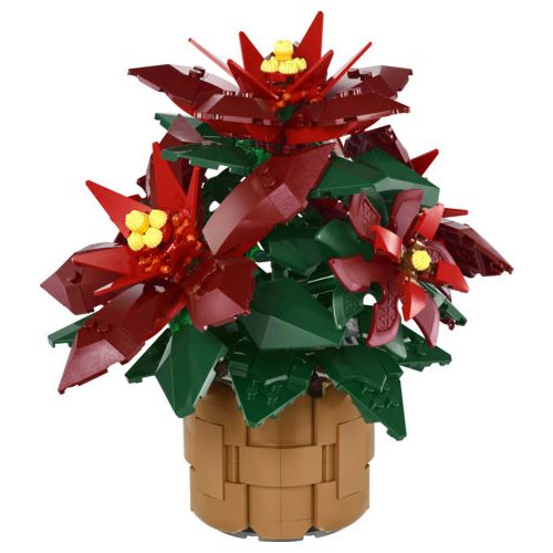 Le poinsettia