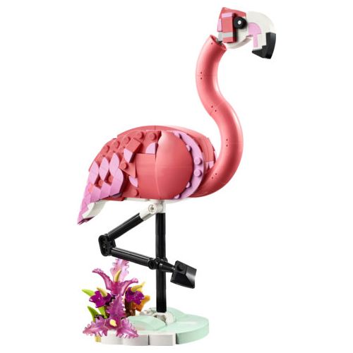 Les animaux sauvages : Le flamant rose