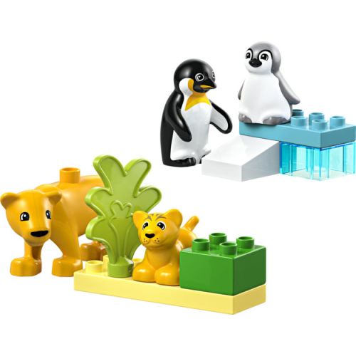 Familles d’animaux sauvages : Pingouins et lions