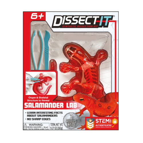 Salamandre Dissect It