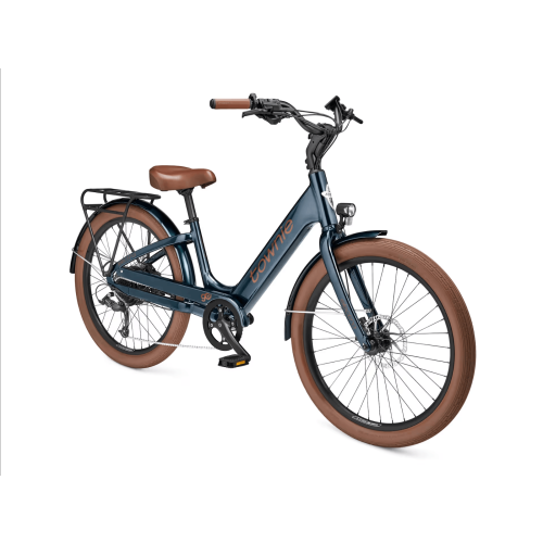 Townie Go!,  Gris requin Petit