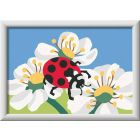 CreArt Coccinelle dans la nature