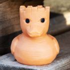 Canard Groot""
