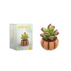 Brixies mini bouquet Vénus Plante Carnivore