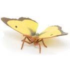 Papo Papillon souci